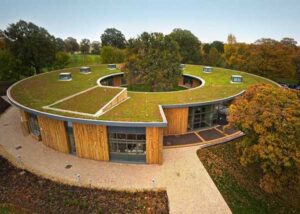 Green (Living) Roofs