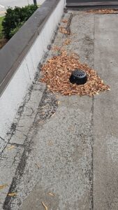 A commercial roof with debris near the vent in Gainesville, GA